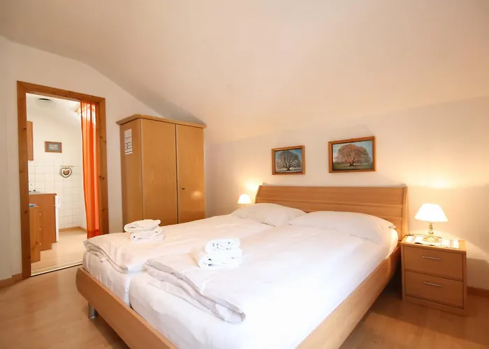 Apartment Almliesl Zell-041