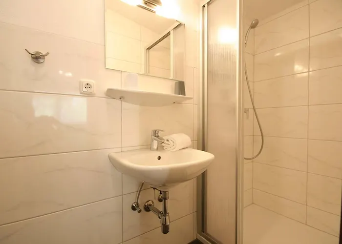 Almliesl Zell-041 アパート ツェル アム ゼー